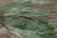 油畫藏品圖，第20張