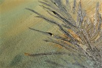 油畫藏品圖，第12張