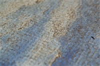 油畫藏品圖，第13張