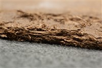 油畫藏品圖，第17張