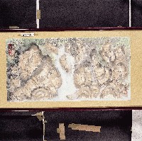 登錄號:2014E0010686藏品圖，第1張