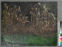 油畫藏品圖，第2張