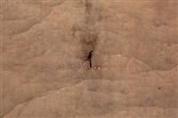 油畫藏品圖，第6張