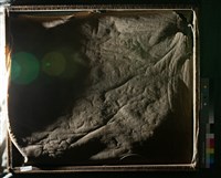 油畫藏品圖，第7張