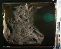 油畫藏品圖，第8張