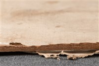 油畫藏品圖，第22張