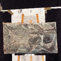 油畫藏品圖，第1張