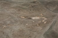 油畫藏品圖，第13張