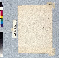 登錄號:2014E0010828藏品圖，第1張