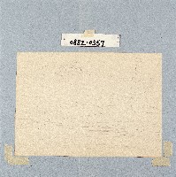 登錄號:2014E0010882藏品圖，第1張