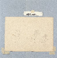 登錄號:2014E0010887藏品圖，第1張