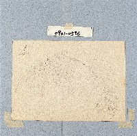 登錄號:2014E0010901藏品圖，第1張