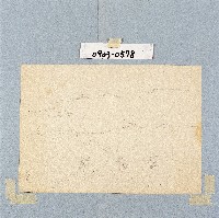 登錄號:2014E0010903藏品圖，第1張