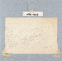 登錄號:2014E0010930藏品圖，第1張