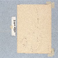 登錄號:2014E0010950藏品圖，第1張