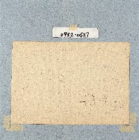 登錄號:2014E0010952藏品圖，第1張