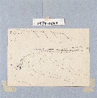 登錄號:2014E0010974藏品圖，第1張