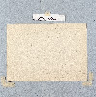 登錄號:2014E0010991藏品圖，第1張