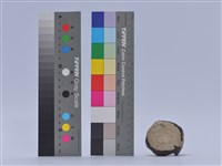 陶藝藏品圖，第2張