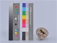 陶藝藏品圖，第6張