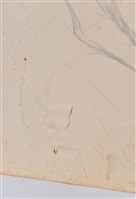 素描藏品圖，第4張