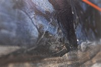 霧台遊記-1藏品圖，第12張