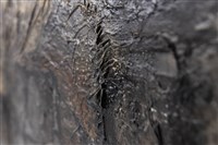 歲⽉之宿醉藏品圖，第13張