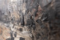 歲⽉之宿醉藏品圖，第14張