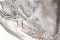 ⽟⼭歸來藏品圖，第16張