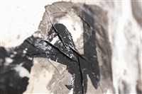 破冰之旅藏品圖，第18張