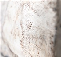 ⼿的語彙藏品圖，第8張