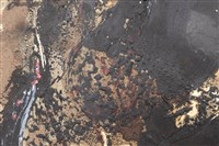 纏、饞、殘藏品圖，第14張