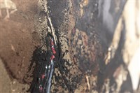 纏、饞、殘藏品圖，第15張