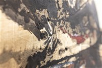 纏、饞、殘藏品圖，第16張