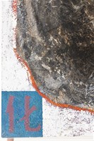 灰燼中的殘骸藏品圖，第4張