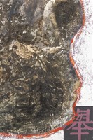 灰燼中的殘骸藏品圖，第7張