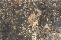 灰燼中的殘骸藏品圖，第10張