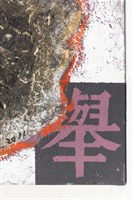 灰燼中的殘骸藏品圖，第12張