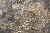 灰燼中的殘骸藏品圖，第13張