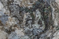 枯⼭⽔藏品圖，第12張