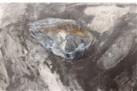 澗藏品圖，第4張