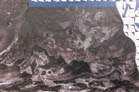 念⼟藏品圖，第8張