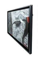 ⽩⿃的聯想藏品圖，第3張