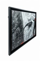 ⽩⿃的聯想藏品圖，第4張