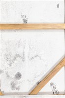 獨樹藏品圖，第13張