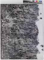 潮間帶藏品圖，第1張