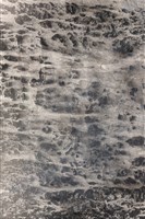 潮間帶藏品圖，第5張