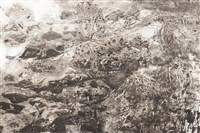 潮間⽔光藏品圖，第4張