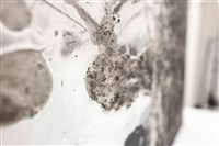 潮間⽔光藏品圖，第9張