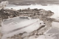 潮間⽔光藏品圖，第11張